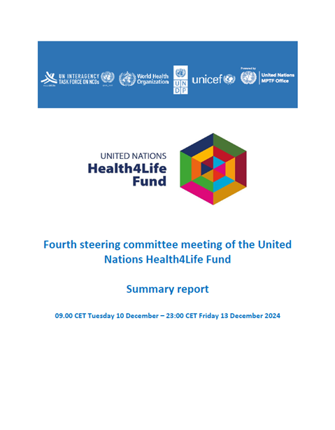 Summary of Fourth Steering Committee meeting