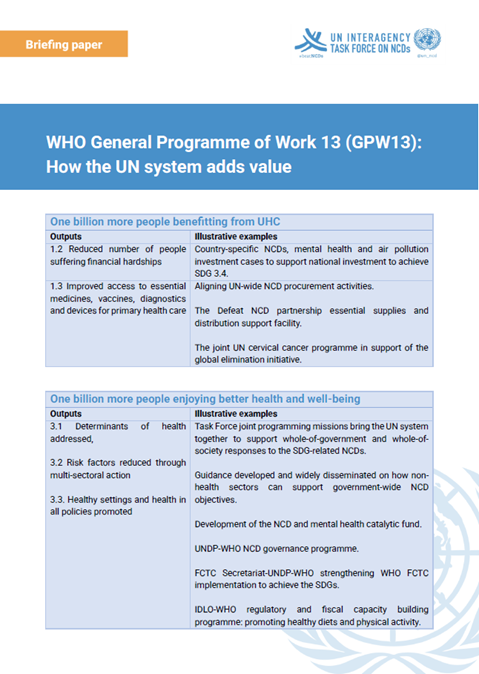 WHO GPW13: how the UN system adds value