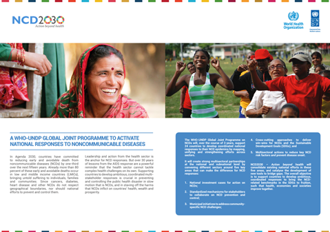 NCD 2030 Flyer