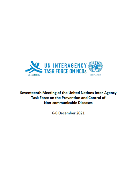 17th Meeting of Task Force