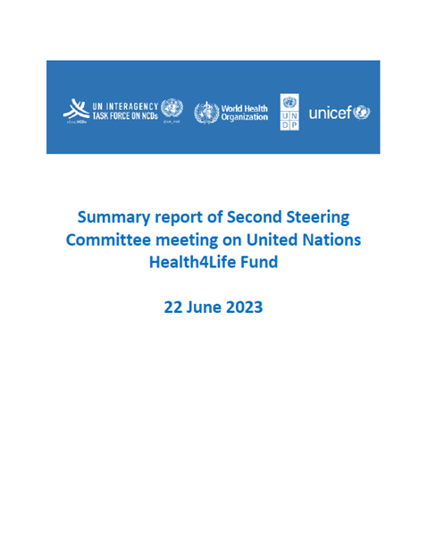 Summary of Second Steering Committee meeting
