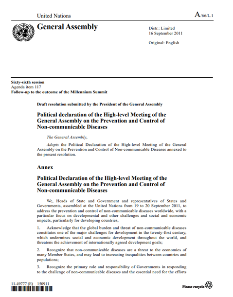 2011 UNGA Political Declaration