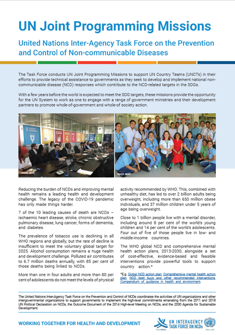 UN Joint Missions