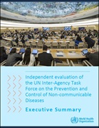 executive summary evaluation